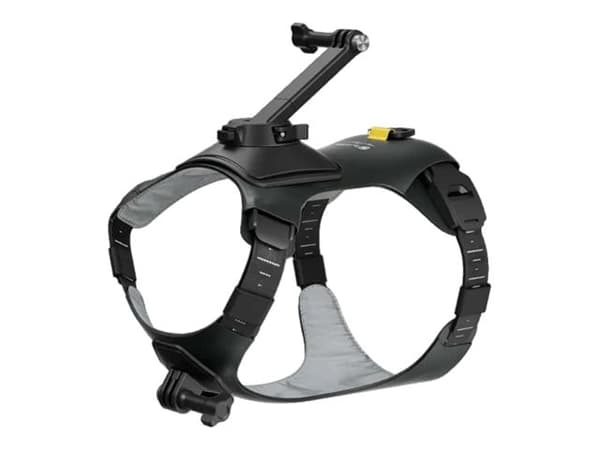 Insta360 - Støttesystem - husdyrsele - medium - for Insta360 Go 3, Go 3S