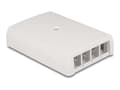Miniatyrbilde 1 av 5: Delock - Modulært innføringshus - keystone, for fiber optic and network - overflatemonterbar - hvit - 4 porter