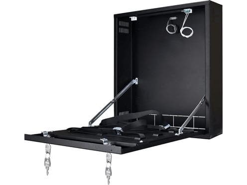 Pulsar DVR BOX AWO529