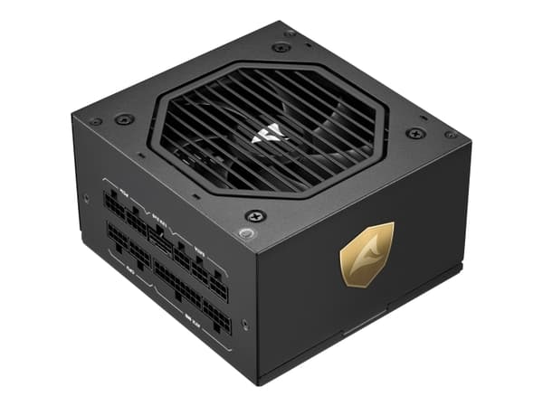 Sharkoon Rebel Gold - Strømforsyning - 80 PLUS Gold - AC 110-240 V - 700 watt - aktiv PFC