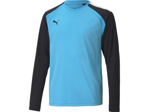 Puma teamPACER GK LS Jersey Goalkeeper Sweatshirt Blue 704939 40 164cm