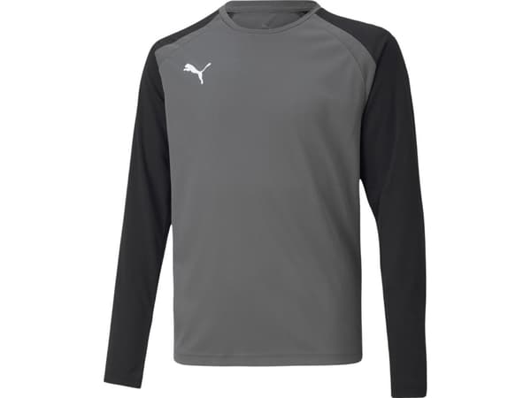 Puma teamPACER GK LS Jersey Goalkeeper Sweatshirt Grey 704939 43 140cm