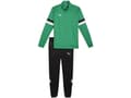Miniatyrbilde 1 av 2: Puma Team Rise men's tracksuit green-black 658653 05
