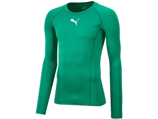 Puma Liga Baselayer Tee LS Men's T-Shirt green 655920 05 L