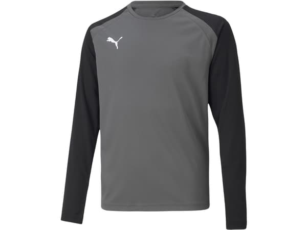 Puma teamPACER GK LS Jersey Goalkeeper Sweatshirt Grey 704939 43 152cm