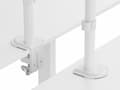 Miniatyrbilde 3 av 5: Equip 650167 17inch-32inch Articulating Dual Monitor Desk Mount Bracket, White