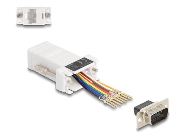 Delock D-Sub 9-nastainen uros RJ45 naaras asennussarja valkoinen Valkoinen