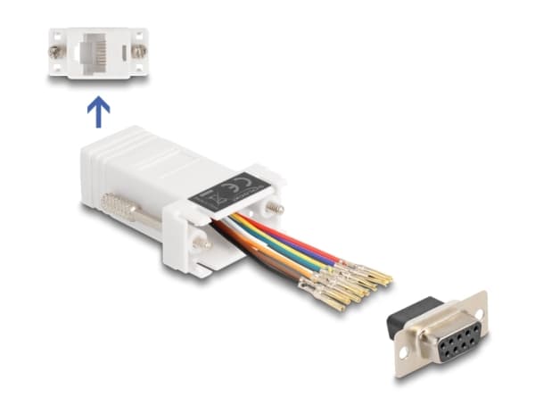 Delock - Seriell adapter - DB-9 (hona) till RJ-45 (hona) - CAT 5/5e/6 - individuellt tilldelningsbar seriell gränssnitt, tumskruvar - vit Vit