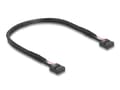 Miniatyrbild 3 av 5: Delock - USB-adaptersats - 9-stifts USB 2.0-kontakt (hane) till 20 pin USB Typ E (hona) Tangent A, vinkelställd - magnetisk