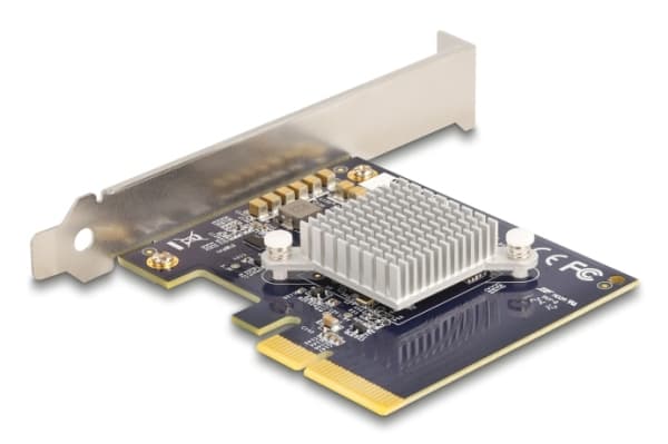 Delock - Applikasjonsakselerator - PCIe 3.0 x4 - plugginnkort