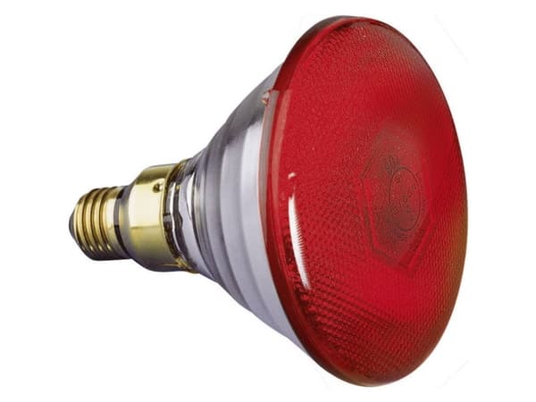 Eurolite Par-38 FL rot Halogen lyseffekt lyskilde 230 V E27 80 W Rød kan dæmpes