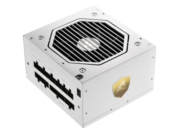 Sharkoon Rebel P20, 750 W, 100 - 240 V, 50/60 hz, 9 / 4.5 A, 100 W, 750 W