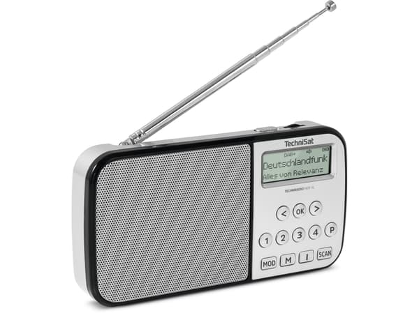 Technisat Techniradio RDR XL hopea