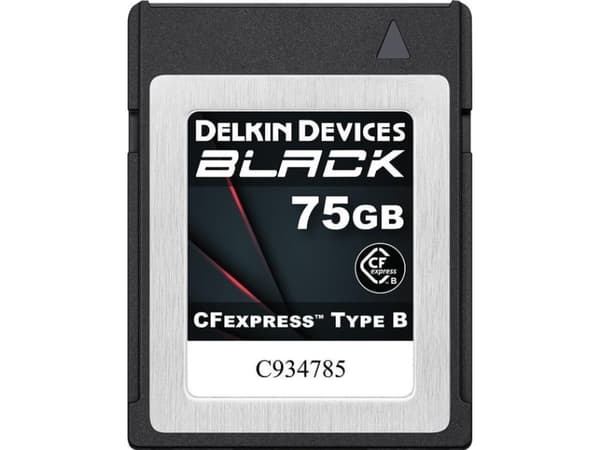 Delkin Delkin CFexpress BLACK R1725/W1240 75GB kort