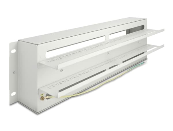 Delock - Rack rail with circuit breakers cover - DIN-skinnemonterbar - grå - 3U - 19"