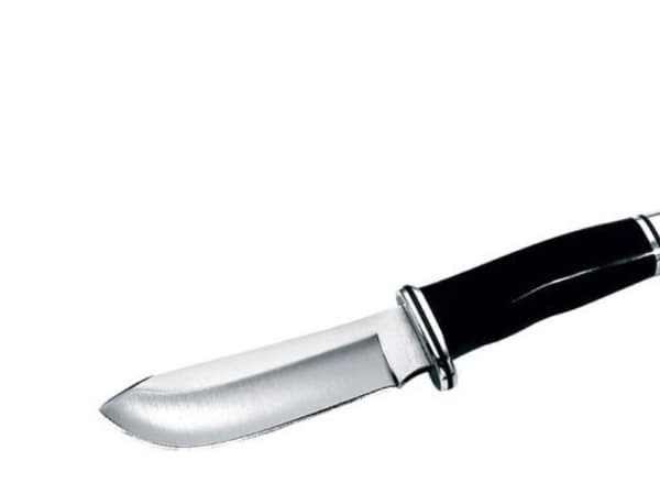 Buck Knives Skinner, Flåkniv, Rustfritt stål, Phenolic, 122,4 g