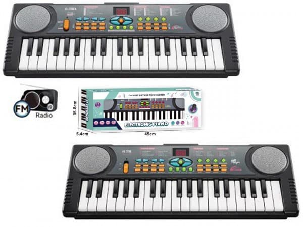 Music keyboard on bat.+microphone 011127 78659