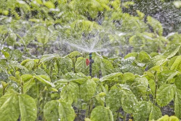Gardena 13322-20 vattenspridare Cirkulär vattenspridare Plast Svart