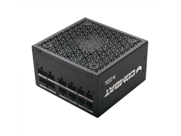 Super Flower Computer Combat FG 80 PLUS Gold ATX 3.1 modular - 750 Watt (SF-750C12FG)