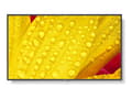 Miniatyrbilde 1 av 5: NEC MultiSync M551-2 - 55" Diagonalklasse (54.5" synlig) - M Series LED-bakgrunnsbelyst LCD-skjerm - intelligent skilting - med innebygd mediespiller