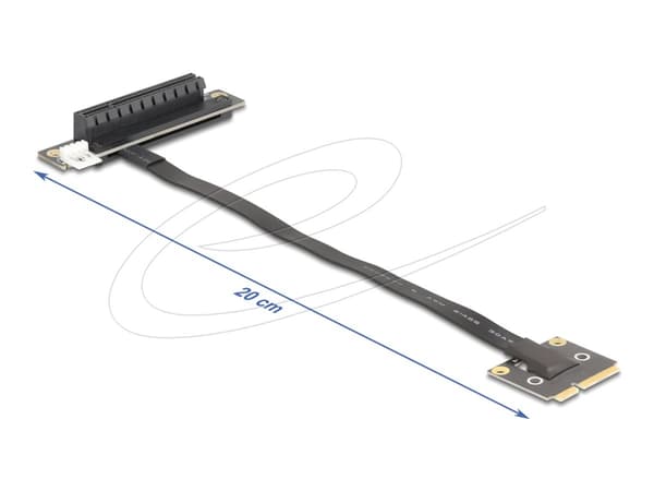 DeLOCK 81295, Mini PCI Express, PCIe, Hankoppling, Svart, 0,2 m, 1 styck Svart
