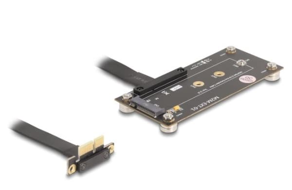 DeLOCK 81503, M.2, PCIe, Hunkjønn, Sort, 0,1 m, 1 stykker Sort