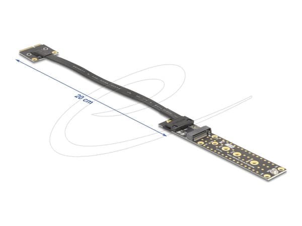 DeLOCK 81501, M.2, Mini PCIe, Hunkjønn, Sort, 0,2 m, Boks Sort