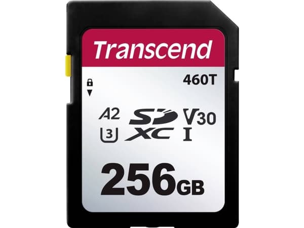 Transcend TS256GSDC460T-VS1 SD-kort Retail 256 GB