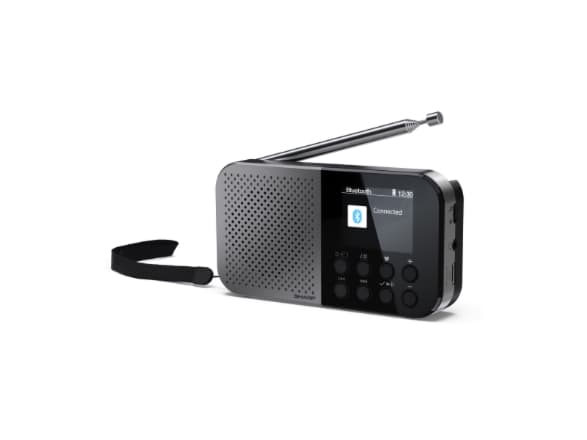Sharp DR-P520, Personlig, Digitalt, DAB, DAB+, FM, AAC, 5,08 cm (2"), USB Type-C