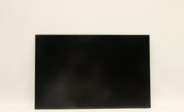 Napęd Lenovo DISPLAY FRU INX N160JCA-EEL