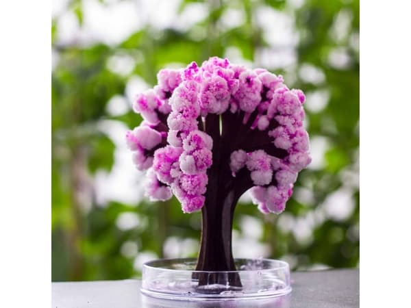 Thumbs Up Mad Monkey - Magiskt körsbärsblomsträd