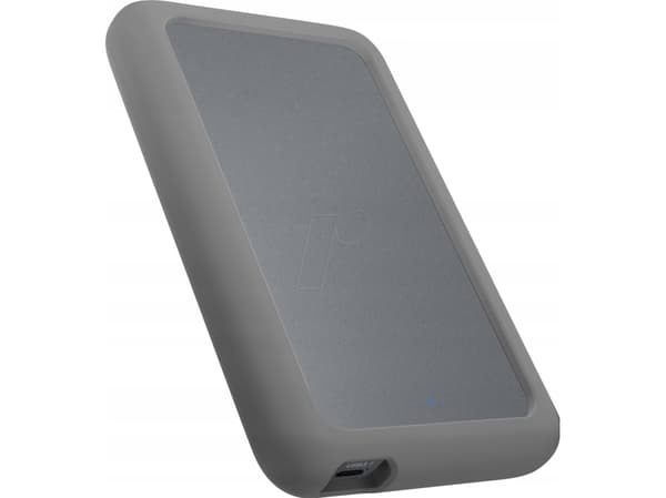 RaidSonic ICY BOX IB-246-C31-G USB 3.2 Type-C harddisk for 2.5 SSD Grå