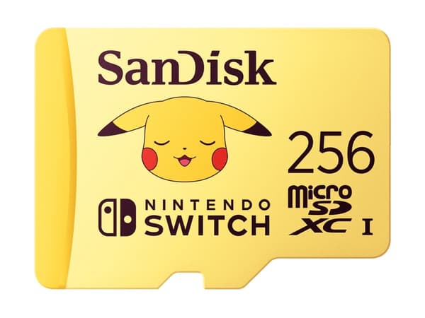 SanDisk - Flashminnekort - 256 GB - Video Class V30 / UHS-I U3 - microSDXC UHS-I