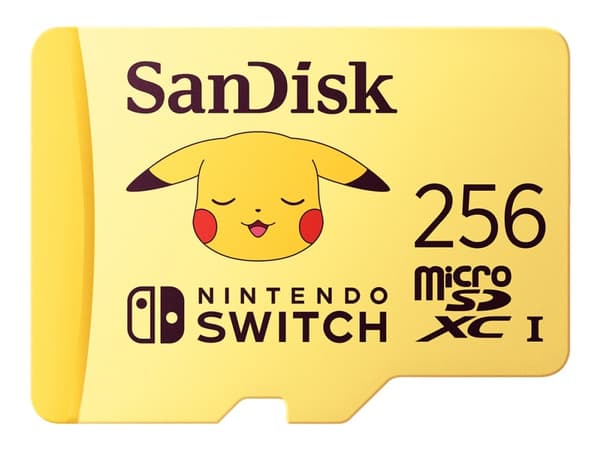 SanDisk - Flashminnekort - 256 GB - Video Class V30 / UHS-I U3 - microSDXC UHS-I