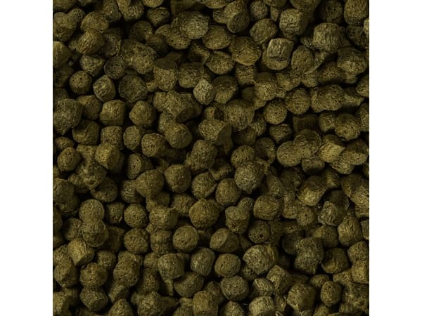 Sera Koi Color Medium 1000 ml, granulės - pagrindinis Koi maistas
