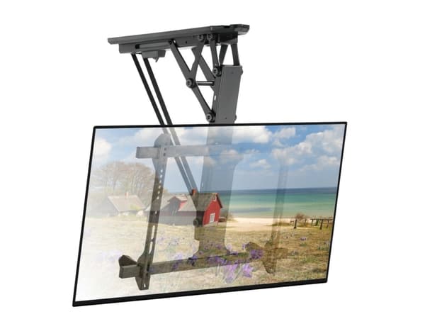Techly ICA-PLB 546M, 177,8 cm (70"), 200 x 100 mm, 600 x 400 mm, 0 - 90°, Plast, Stål, Sort