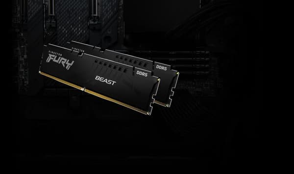 Kingston Technology FURY Beast RAM-minnen 32 GB 1 x 32 GB DDR5 3000 MHz
