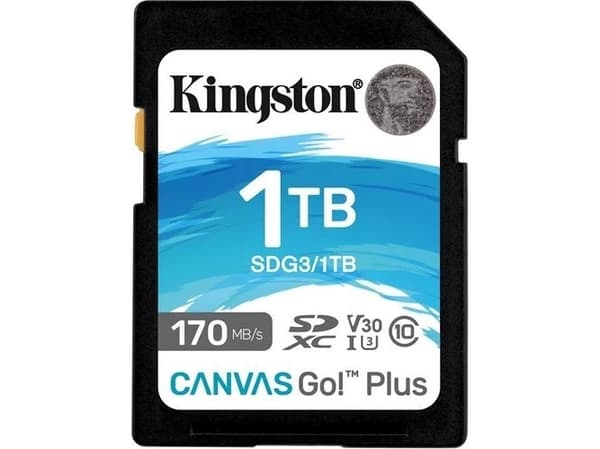 Kingston Canvas Go! Plus - Flashminnekort - 1 TB - Video Class V30 / UHS-I U3 / Class10 - SDXC UHS-I