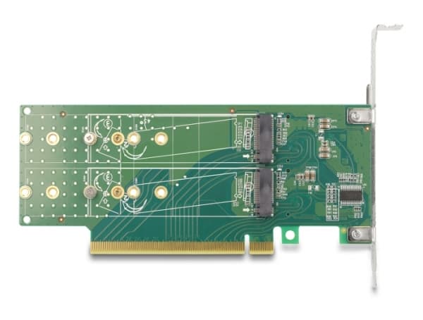 Delock - Lagringskontroll - gaffelpartisjon, 110 mm - M.2 NVMe-kort - lav profil - PCIe 4.0 x16