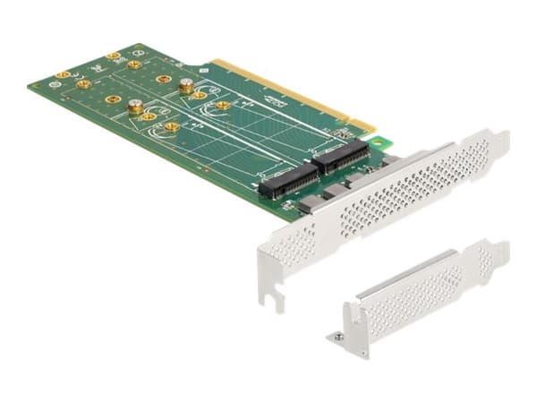 Delock - Lagringskontroll - gaffelpartisjon, 110 mm - M.2 NVMe-kort - lav profil - PCIe 4.0 x16