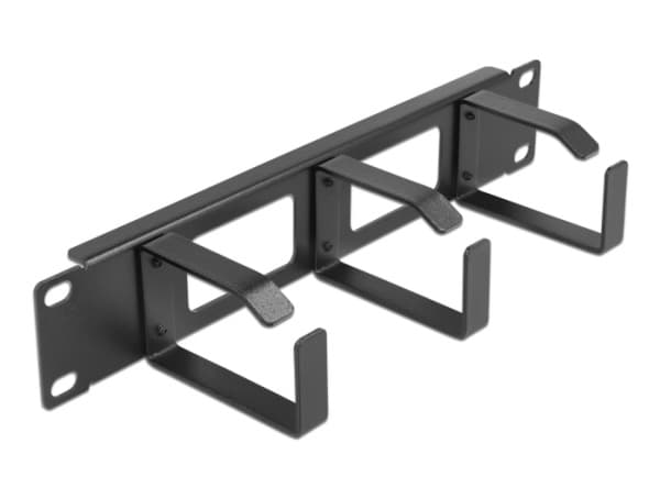 Delock - Kabelstyringspanel - with 2 openings and 3 hooks - svart - 1U - 10"