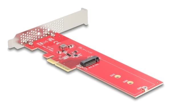 Delock PCI Express 5.0 x4 Karte zu 1 x intern NVMe M.2 Key M - Low Profile Formfaktor