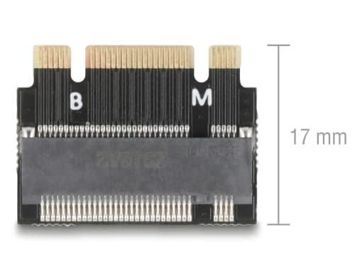 Delock Adapter M.2 Key B+M male till M.2 Key M Slot - Förlängning