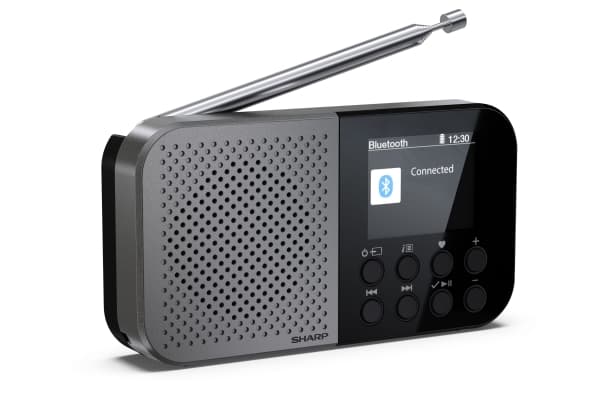 Sharp DR-P520, Personlig, Digitalt, DAB, DAB+, FM, AAC, 5,08 cm (2"), USB Type-C