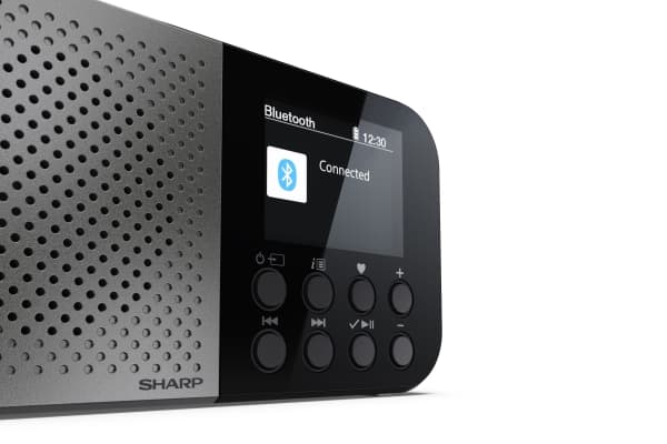 Sharp DR-P520, Personlig, Digitalt, DAB, DAB+, FM, AAC, 5,08 cm (2"), USB Type-C