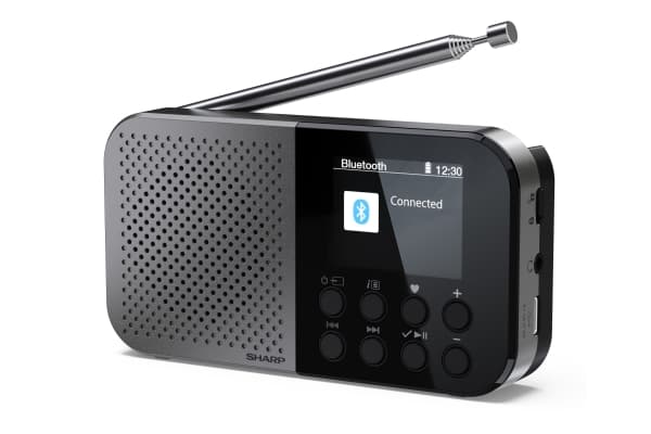 Sharp DR-P520, Personlig, Digitalt, DAB, DAB+, FM, AAC, 5,08 cm (2"), USB Type-C