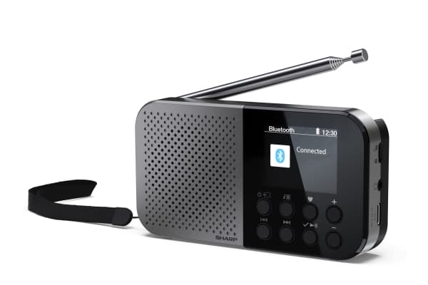 Sharp DR-P520, Personlig, Digitalt, DAB, DAB+, FM, AAC, 5,08 cm (2"), USB Type-C