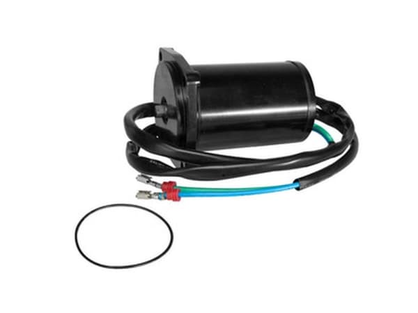 Sierra Trim motor