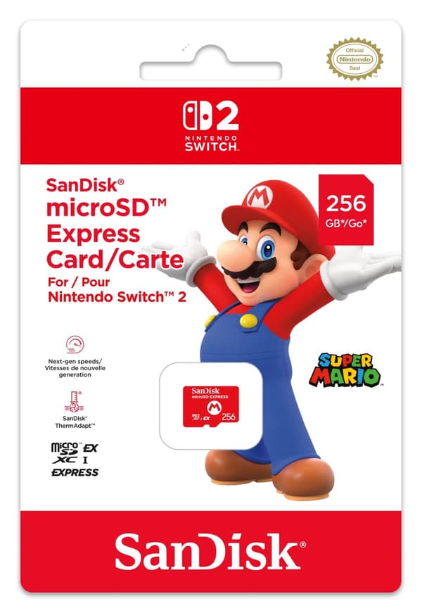 Micro SD EXP SANDISC 256GB