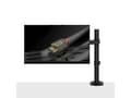 Miniatyrbilde 2 av 5: Lindy Single Fixed Display Mount (40710)